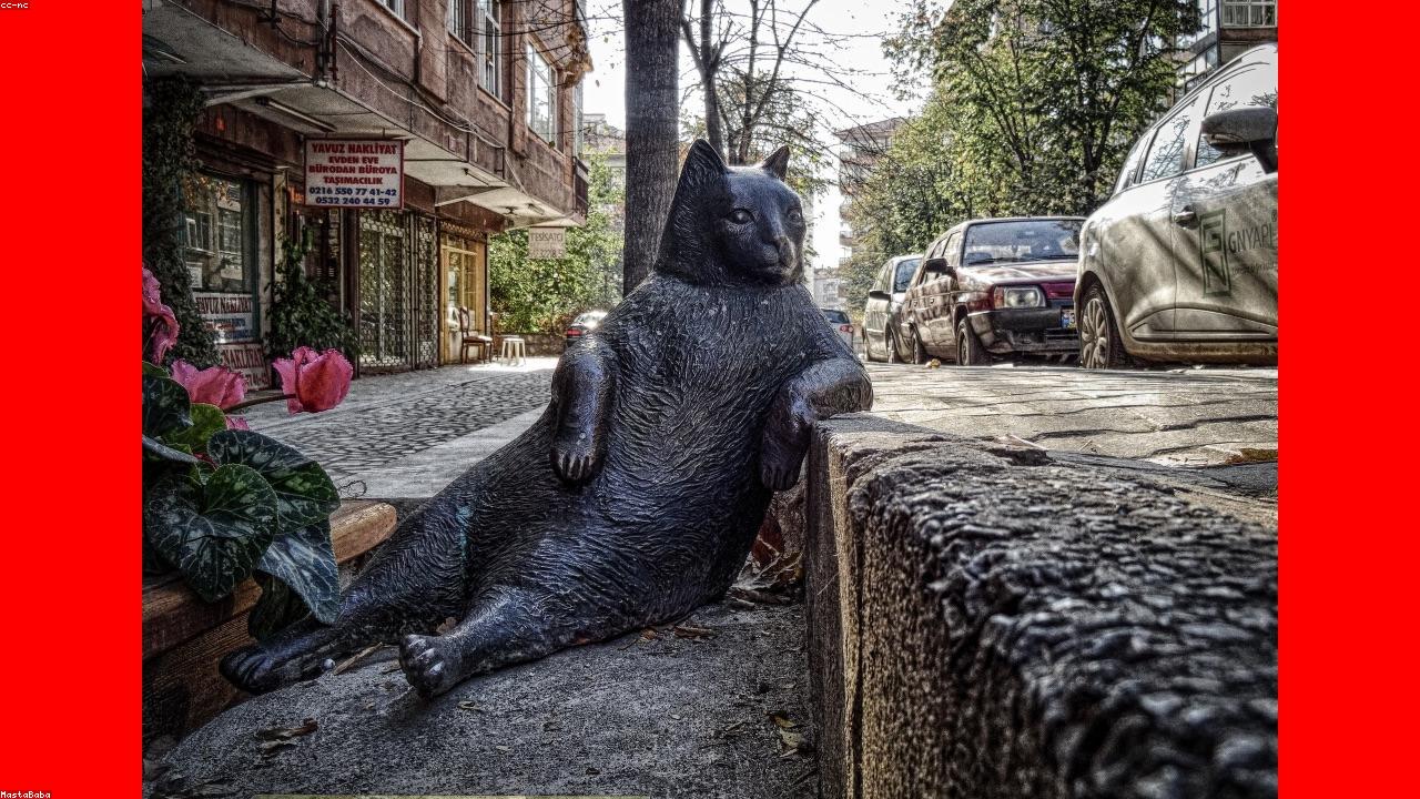 42 Quick Tips to Improve Your Health Insurance